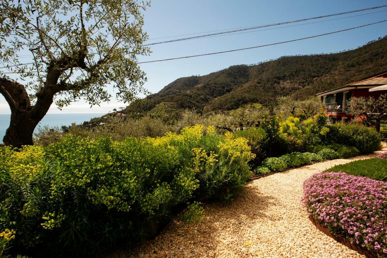 B&B Il Parco Monterosso al Mare Exterior foto