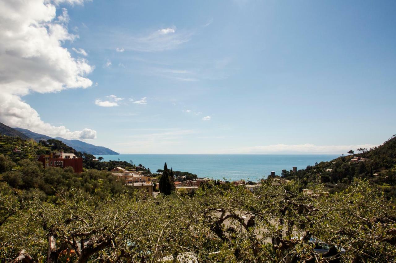 B&B Il Parco Monterosso al Mare Exterior foto